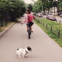 Nastya Khodakova的照片