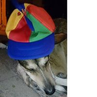 Le foto di Sebastian Tschentschel