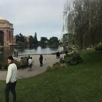 Mikey Branson的照片