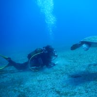 Leslie Mark的照片