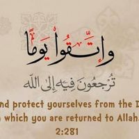 Mahmoud Saqr的照片