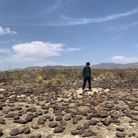 Carlos Rodriguez's Photo