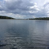 Diego Dos Santos的照片