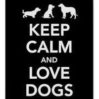 Carolina Santiago's Photo