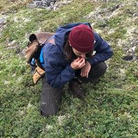 Le foto di Nyle Boyle