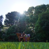 Maria Schodermayr's Photo