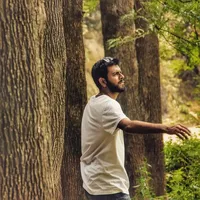 Jeffy George的照片