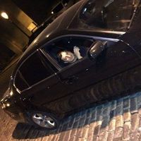 Karen Nerak的照片