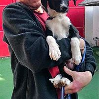 R. David Poehner's Photo