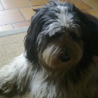 Aziliz FEREY的照片