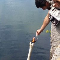 Alex Fernandez的照片