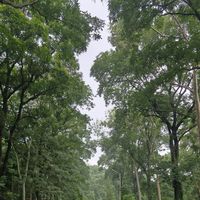 Anshul Patil's Photo