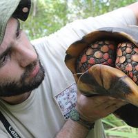 Photos de Agustín Zarco