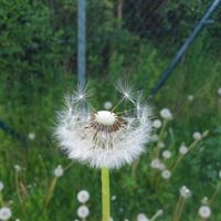 Фотографии пользователя Anna B