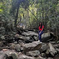 Shaila Shree's Photo