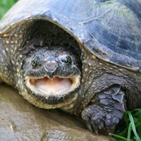 Photos de Daniel Perelló Badía