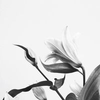 Фотографии пользователя Kylie Hutton