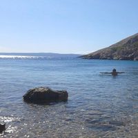 Javier Sánchez's Photo