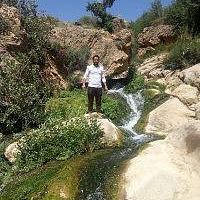 Halim Sehtal的照片