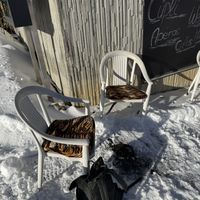 Alexa Canitz's Photo