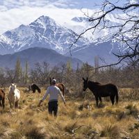 Francisco Segura's Photo