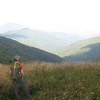 Justin Bowman's Photo