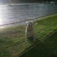 Fotos de Ubclein Goethe