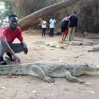 Karamo Nyassi's Photo