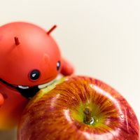 Fotos de felle kasen