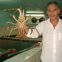 Marcello  Virzi's Photo