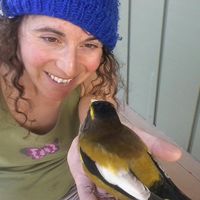 Temira Lital's Photo