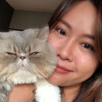 Panitpicha Ng的照片