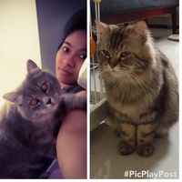 Yenny Parlina's Photo