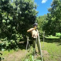 Andrea  Ibarra's Photo