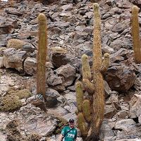 Hector Maturana's Photo