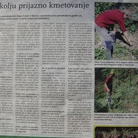 Dejan Grosar's Photo