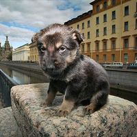 Olga Vasileva's Photo