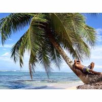 Francisco Santiago's Photo