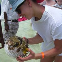 Andrea Gibellini的照片