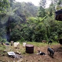 Fotos de Gina García