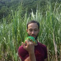 Yoann RIFOSTA's Photo