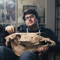 Edward Vijay的照片