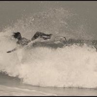 Andreas Herrmann的照片