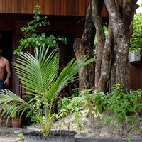 benediktus weto的照片