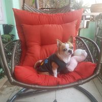 Le foto di Ekta Ranjan