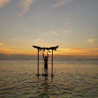 Southern Turner's Photo