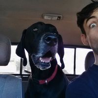 Tanner Levent的照片