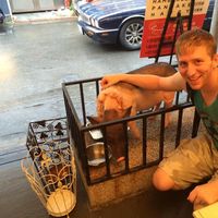 Andrew Morrison's Photo