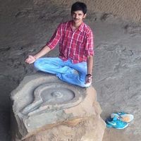 Krishna Lodha的照片