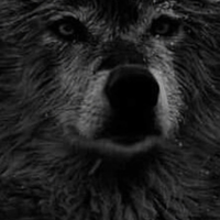 Mike dalessandro's Photo